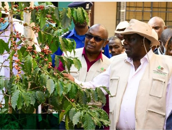 State Department of Cooperatives Develops Strategic Push for Coffee Sector Governance and Revival